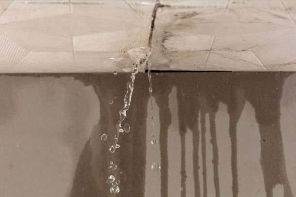 Professional Water Damage Repair technician working in New Jersey, NJ